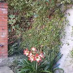 Casa Bouganville Apartamento La Spezia