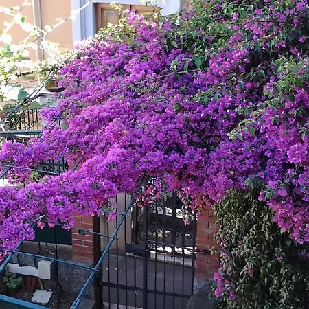 Casa Bouganville