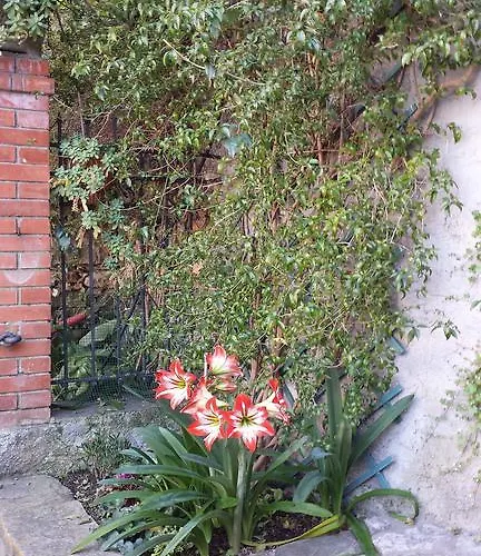 Casa Bouganville Lägenhet La Spezia